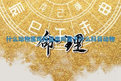 什么动物属鸡科 🕴 鼠类 鸡属于什么科目动 🔥 物 什么动物属鸡科 🕴 鼠类 鸡属于什么科目动 🔥 物