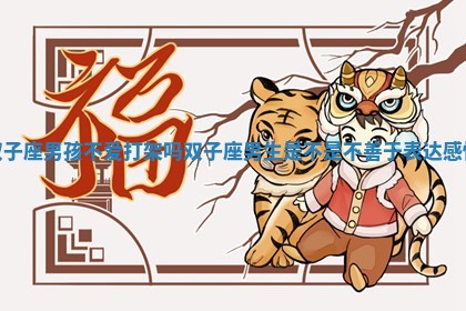 双子座男孩不爱打 🈺 架吗_双 🐷 子座男生是不是不善于表达感情