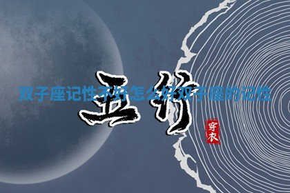 双子座记性不好怎么 ⛪ 好 双子座的记性 🙆