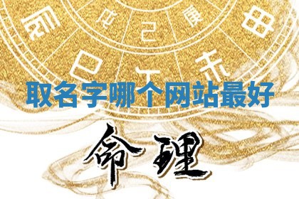 取名字哪 🦑 个网站最好 👩