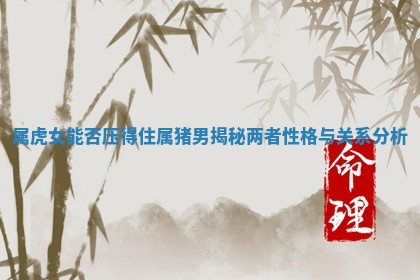 属虎女能否压得住属 💂 猪男揭秘两者性格与关系分 🏛 析