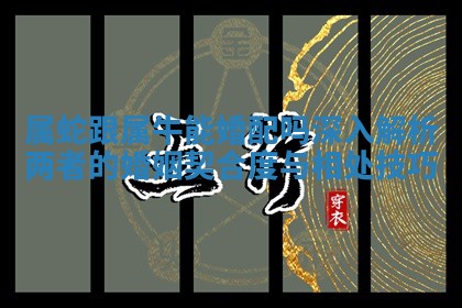 属蛇跟属牛能婚 🤘 配吗深入解析两者的 ➰ 婚姻契合度与相处技巧