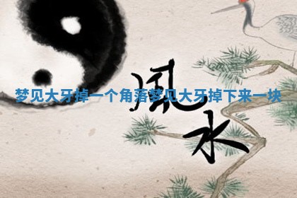 梦见大牙掉一个角 🎖 落 梦 😖 见大牙掉下来一块 梦见大牙掉一个角 🎖 落 梦 😖 见大牙掉下来一块