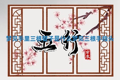 梦见 📔 手里三 🏮 根簪子是什么_梦见三根手指头