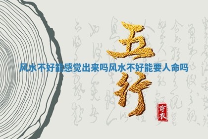 风水不好能感 ⛎ 觉出来吗_风水不好 🌌 能要人命吗